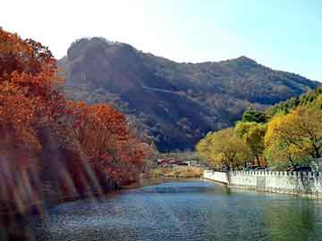 管家婆黑白马报图库，二郎神倒车雷达